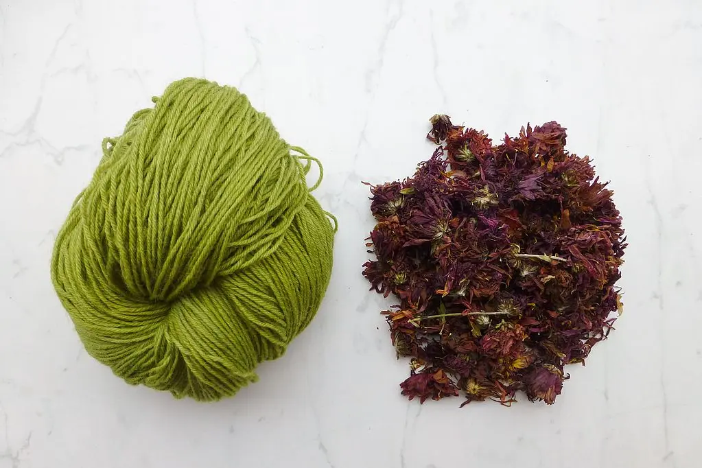 Chrysanthemenblüten Chrysanthemenblüten